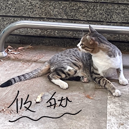 悠然